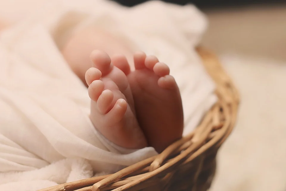 NEZAPAMĆENA TRAGEDIJA: U bolnici za 24 časa umrlo 12 beba