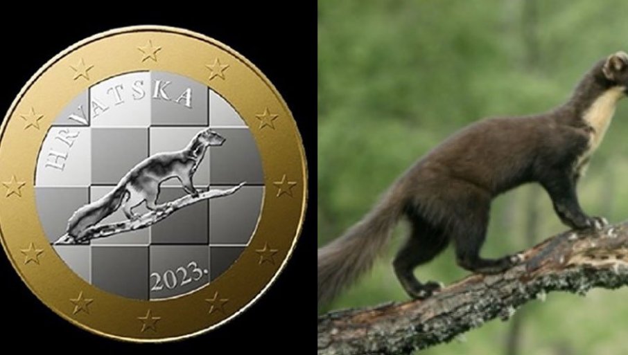 AUTOR SPORNE KOVANICE NAKON SKANDALA: Povlačim svoj dizajn