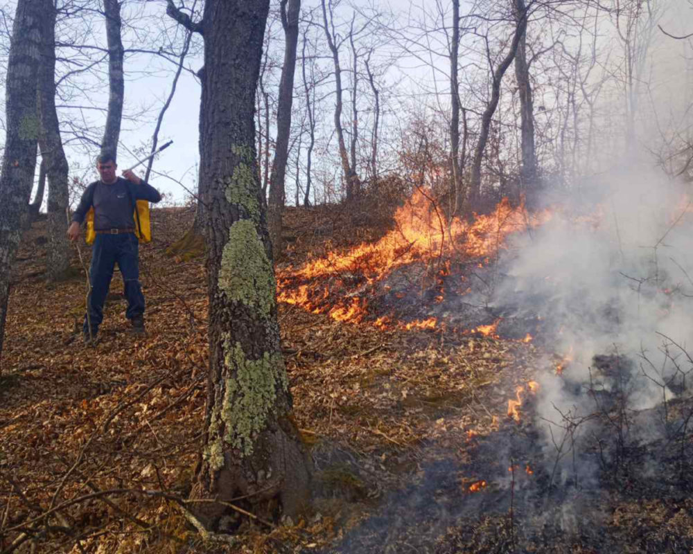 POŽAR U MILIĆIMA: Vatrogasci se borili sa vatrom tri sata