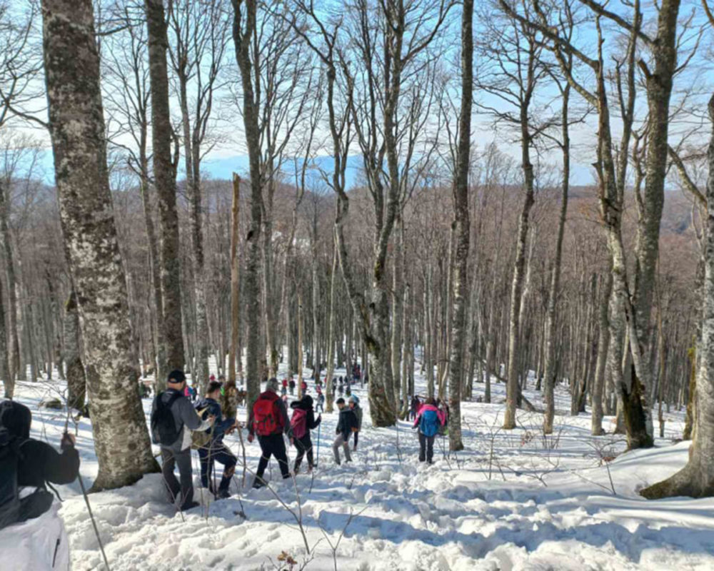 PLANINARI UŽIVALI U POGLEDU SA DIMITORA: Učestvovalo oko 280 planinara