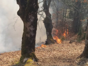 ВАТРА СЕ УБРЗАНО ШИРИ: Драматично у Добоју, гради се заштитни појас на граници са Федерацијом