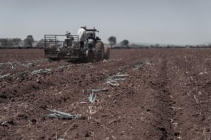 ДУГОТРАЈНА СУША ОТЕЖАЛА СЈЕТВУ: Недостатак влаге у земљишту задаје муке пољопривредницима