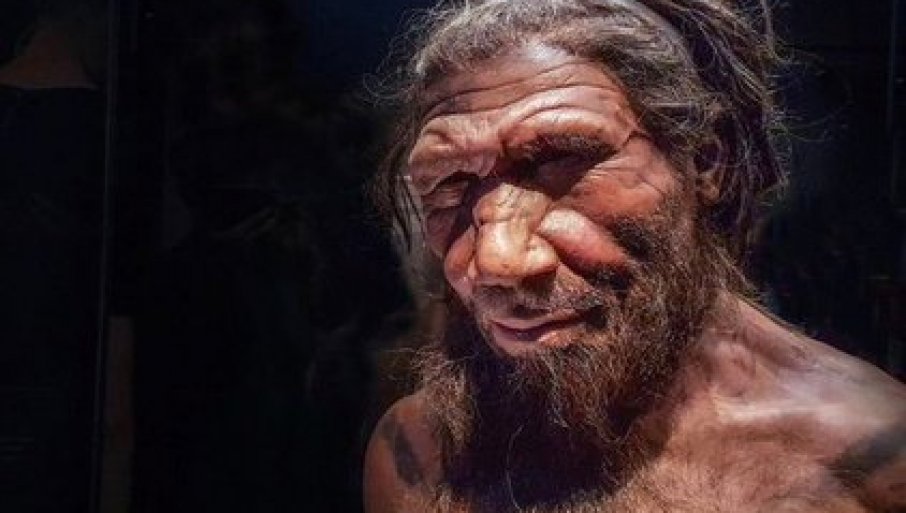 SENZACIONALNO OTKRIĆE IZ SIĆEVAČKIH PEĆINA: Pronađeni ostaci neandertalaca stari 300.000 godina (FOTO)