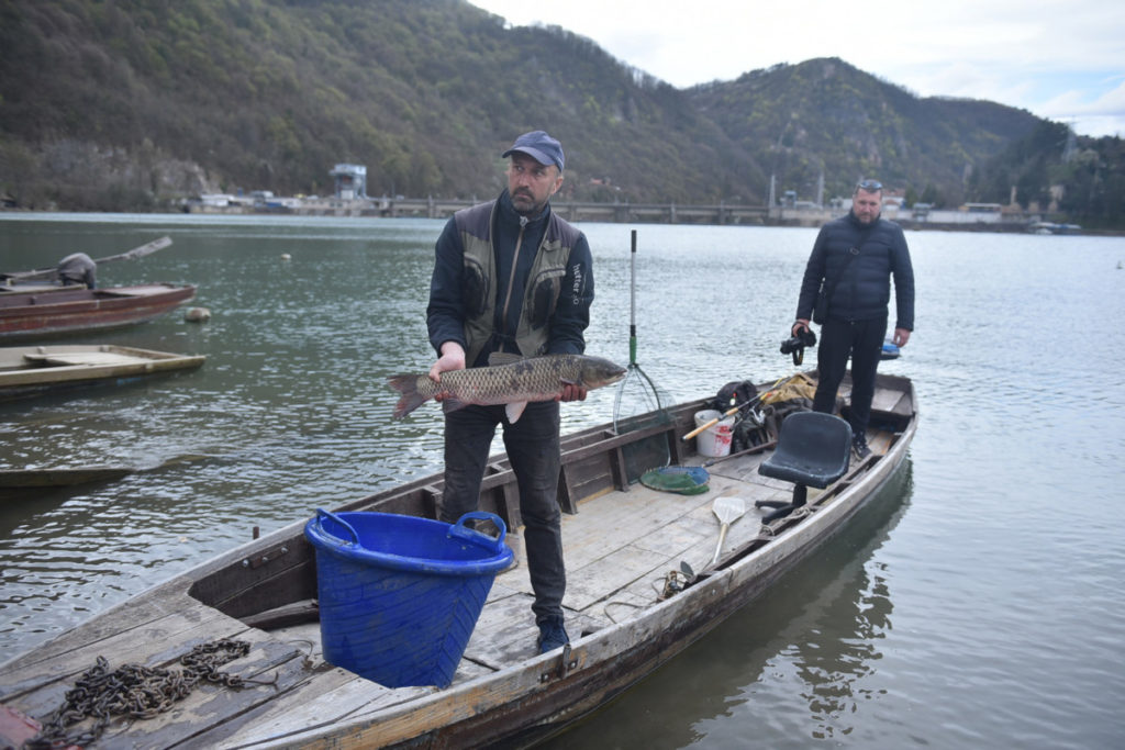 ДОБРЕ ВИЈЕСТИ ЗА РИБОЛОВЦЕ ИЗ ЗВОРНИКА: „Алумина“ донирала 5.000 КМ за порибљавање Дрине и Зворничког језера