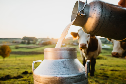„PROIZVODNJA NIJE SMANJENA“ Spuštena rampa za zabranu izvoza mlijeka