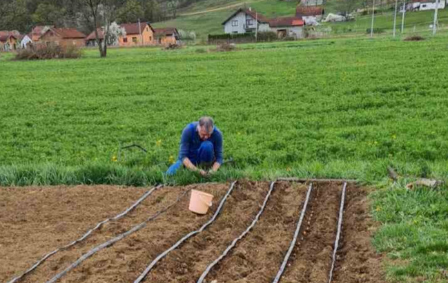 IGOR RADOJIČIĆ SADI KROMPIR: Bivši gradonačelnik Banjaluke uživa u poljoprivrednim poslovima
