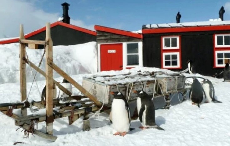 PRIMAMLJIVA POSLOVNA PONUDA: U opisu radnog mjesta je i brojanje pingvina