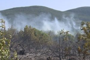 VATRU GASILO DVADESET VATROGASACA: Pod kontrolom požar kod Trebinja