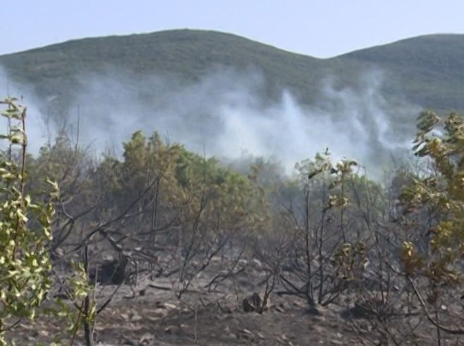 POŽAR U HERCEGOVINI: Bukti vatra u selu kod Trebinja