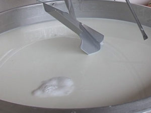 POMOĆ FARMERIMA U SRPSKOJ: Isplaćeno 2,3 miliona KM premija za mlijeko