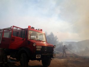 HILJADU VATROGASACA NA TERENU: Bukte požari na granici Slovenije sa Italijom (VIDEO)