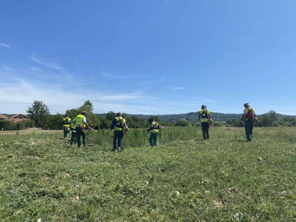 SEZONA AMBROZIJE: Radnici uklanjaju alergene biljke na Banjalučkom polju
