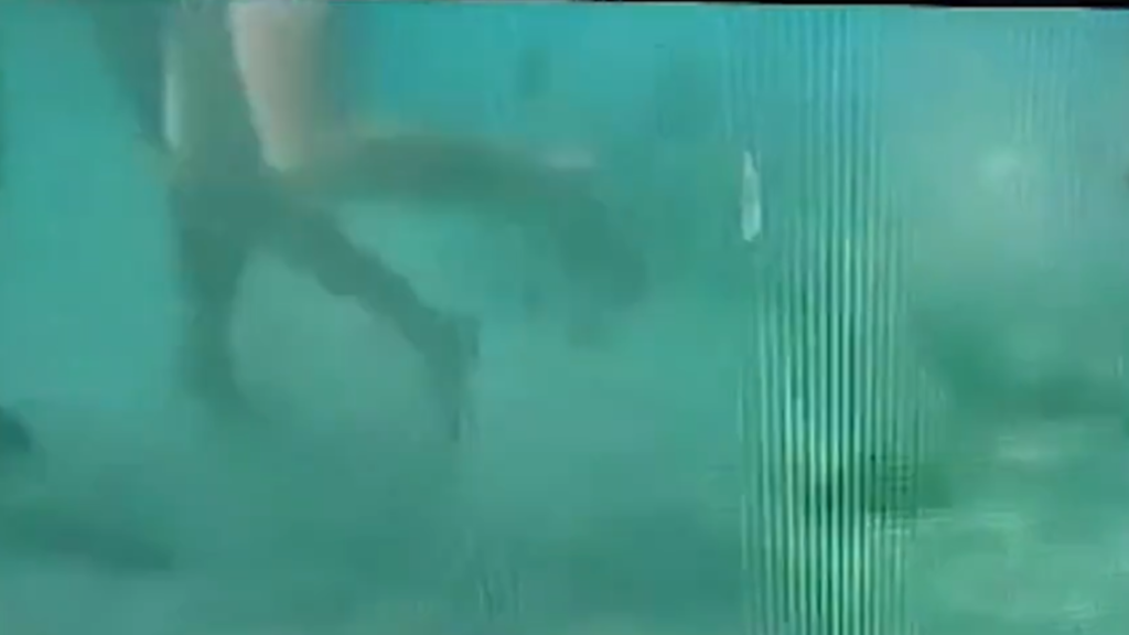 ЈЕЗИВ СНИМАК ИЗ ХУРГАДЕ: Дјечак нападнут у води док је његов дјед хранио рибе (ВИДЕО)