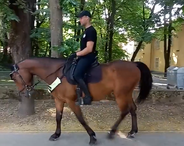 KONJICA PATROLIRA BANJALUKOM: Jedinica Žandarmerije MUP-a Srpske privlači pažnju građana (VIDEO)
