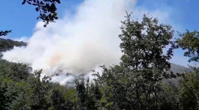 СИТУАЦИЈА НИЈЕ ПОВОЉНА: Пожар код Херцег Новог се шири, приоритет заштити Котор