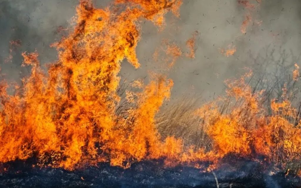 VATRA KOD TREBINJA: Požarna linija na Leotaru duga 300 metara