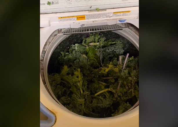 ЉУДИ СЕ ЗГРОЖАВАЈУ: Најбизарнији трик за прање поврћа (ВИДЕО)