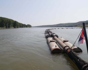 NESVAKIDAŠNJI ULOV: Alas u Dunavu upecao grdosiju dugu tri metra i tešku 100 kilograma (