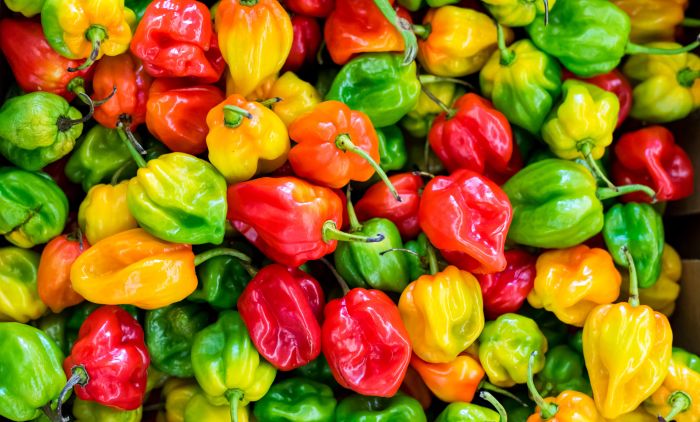 CRVENA, ŽUTA ILI ZELENA: Znate li koja je paprika najzdravija?