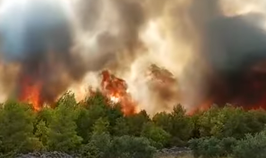 IZGORJELO 100 HEKTARA ŠUME: Požar kod Šibenika stavljen pod kontrolu (VIDEO)