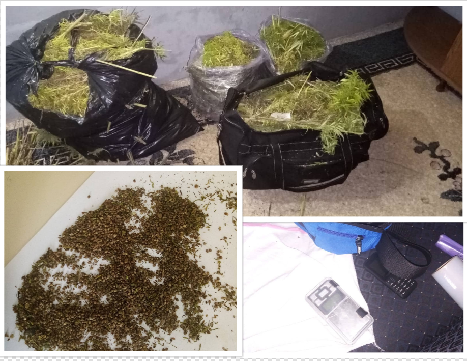 АКЦИЈА „ПЛАНТАЖА 2022“: У кући Добојлије пронађено 19 килограма марихуане