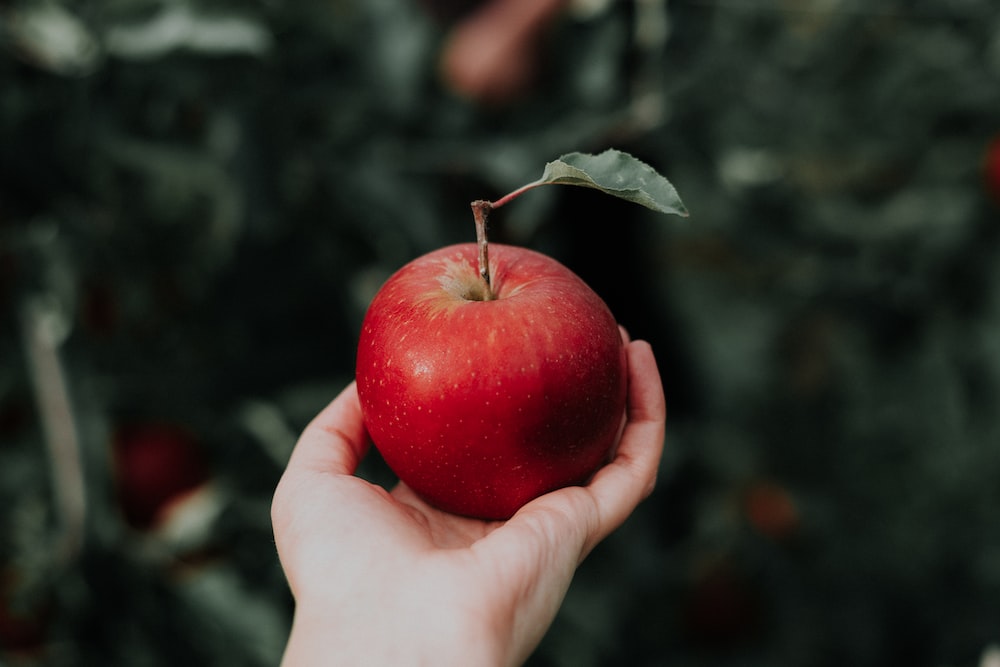 DOBRA ZA VAŠE TIJELO: Da li znate da ne treba bacati koru od jabuke