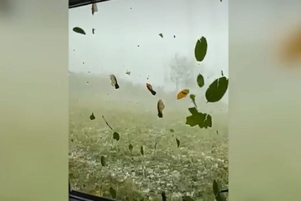 НЕВРИЈЕМЕ У НОВОЈ ГРАДИШЦИ: Град забијелио дворишта (ВИДЕО)