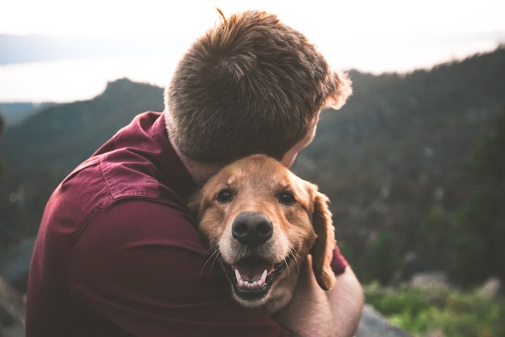 НАЈВЈЕРНИЈИ ПРИЈАТЕЉ: Знаци да вас пас обожава