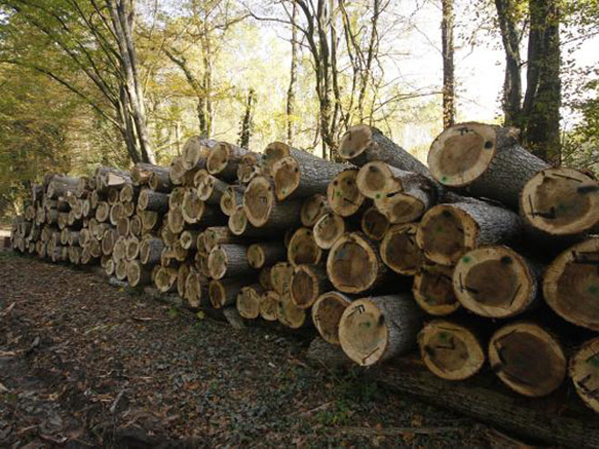POLICAJAC IZ PRIJEDORA U RALJAMA KRIMINALA: Nezakonito prodavao drva i zaradio više od 500.000 KM