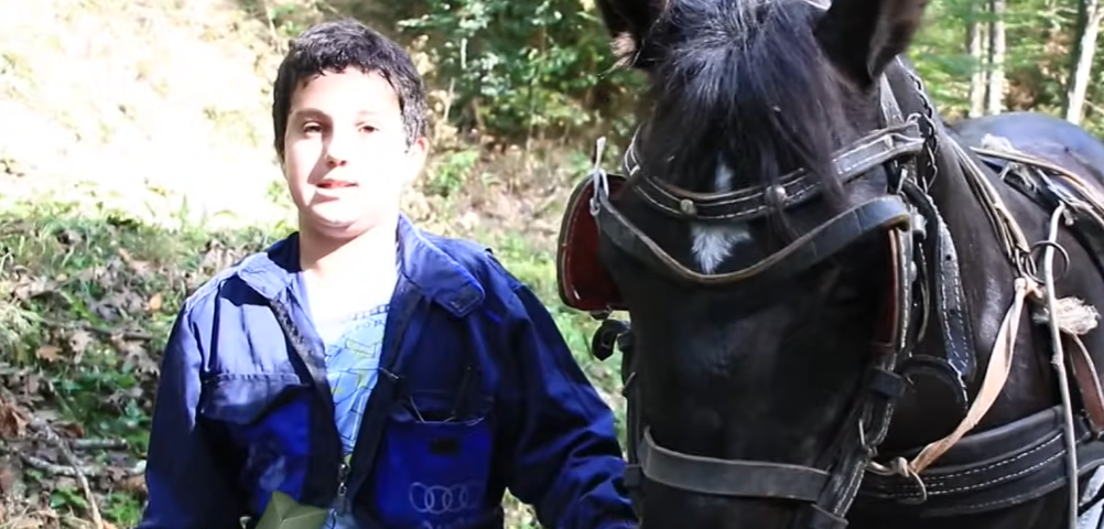 NEĆETE VJEROVATI: Ovo je najmlađi drvosječa u Srbiji