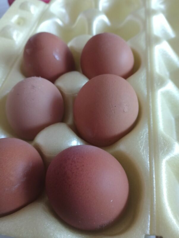 KUVAR OBJASNIO: Evo zašto jaja nikada ne bismo trebali držati u frižideru