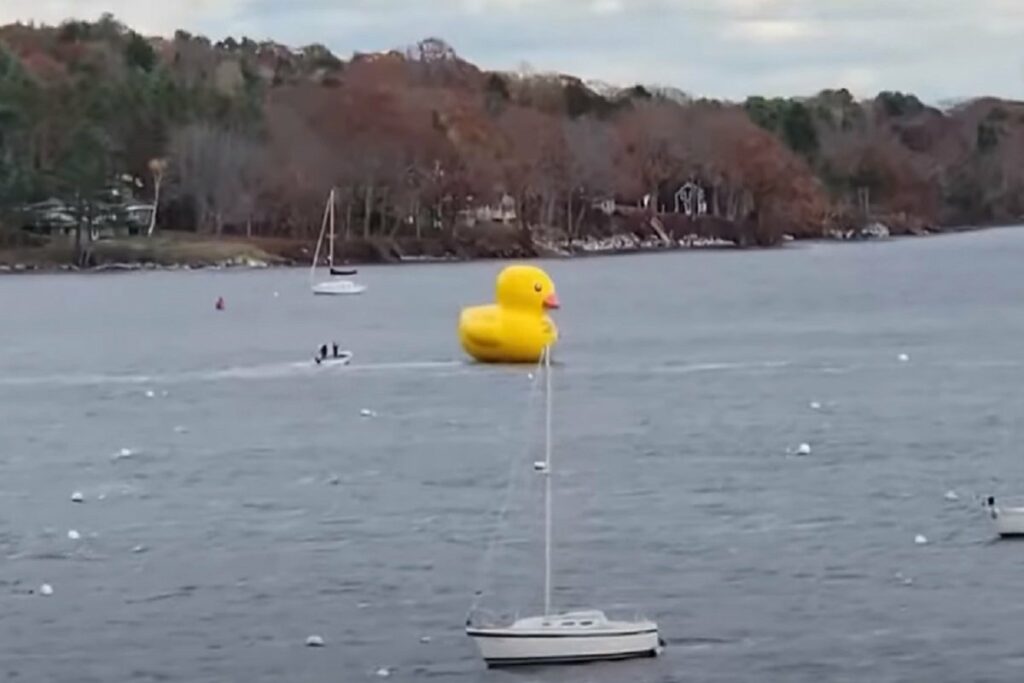 HIT SNIMAK: Ogromna patka na naduvavanje plovi jezerom (VIDEO)