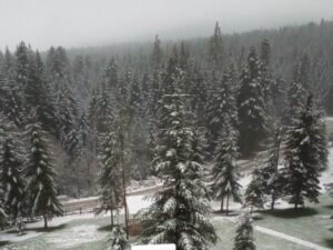 PEJZAŽ KOJI GRIJE DUŠU I SRCE: Prvi snijeg na obroncima planine Klekovača