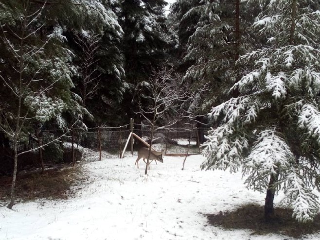 ZABIJELILO SE KOD DRINIĆA: Pao prvi snijeg na Klekovači (FOTO)