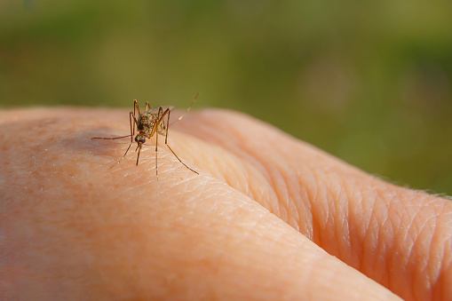 УПОЗОРЕЊЕ ЗА БАЊАЛУЧАНЕ: У недјељу и понедјељак запрашивање комараца
