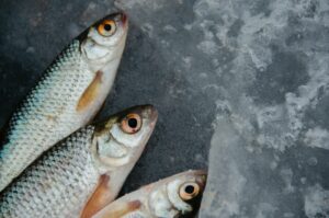POTRAŽNJA POVEĆANA: Riba skuplja i do 10 odsto
