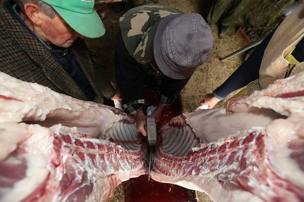ZA SVAKU POHVALU: Fočanski poljoprivrednik poklanja svinju od 200 kg ugroženima
