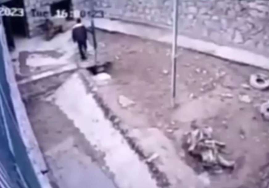 STRAVIČAN PRIZOR: Mrki medvjed rastrgao radnika, kolege nisu mogle da savladaju zvijer (UZNEMIRUJUĆI VIDEO)