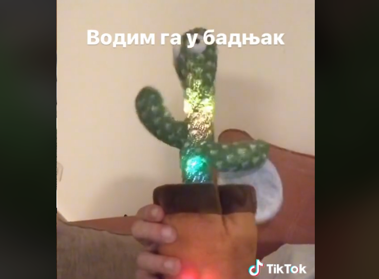 „KRAJIŠKO BOCKALO“ Kaktus-igračka zapalila društvene mreže (VIDEO)