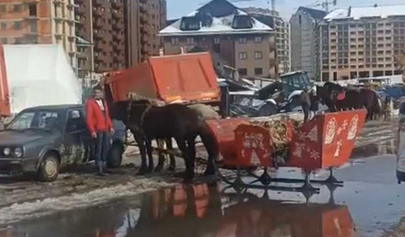 ДРАМА НА ЗЛАТИБОРУ: Коњи са санкама ударили у аутомобиле (ВИДЕО)