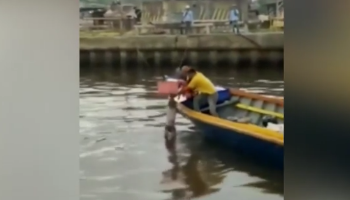 UZNEMIRUJUĆI VIDEO: Krokodil vratio tijelo utopljenog djeteta spasilačkom timu