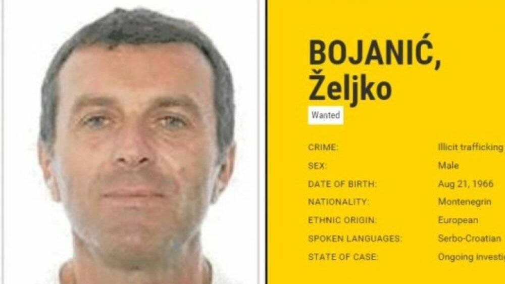 UŽAS U TURSKOJ: Policija pronašla tri ženska tijela u dvorištu vile Željka Bojanića? (VIDEO)