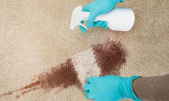 JEFTINO I EFIKASNO RJEŠENJE: Dubinski očistite tepih uz pomoć jednog trika