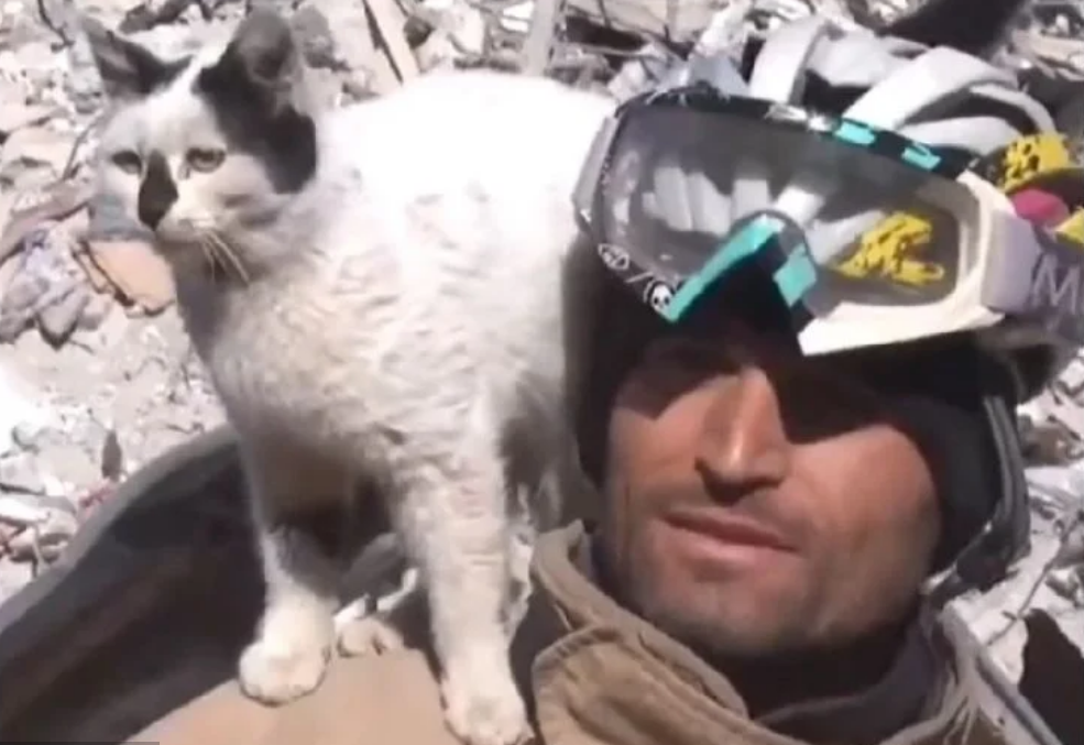 PRIZOR KOJI JE RAZNJEŽIO MILIONE: Mačka spašena iz ruševina odbija da napusti svog spasioca (VIDEO)