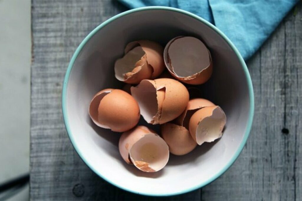 NEMOJTE IH BACATI: Evo za šta su korisne ljuske od jaja