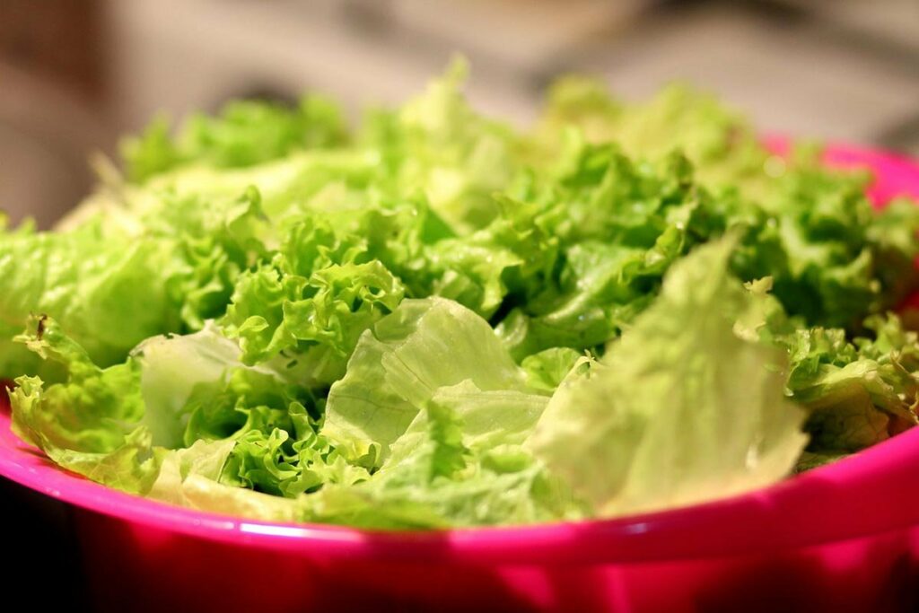 ZDRAVLJE U TANJIRU: Koje dvije salate uzgajati i brati zimi?