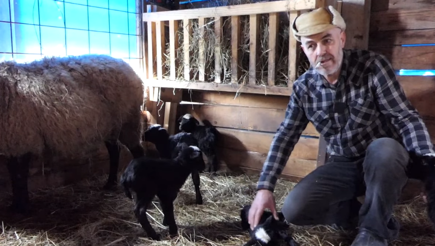 ČUDO PRIRODE KOD GORNJEG VAKUFA: Ovca ojagnjila petoro jagnjadi (VIDEO)