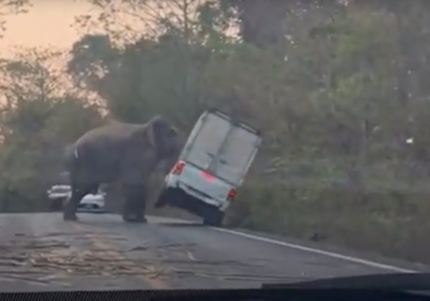 НЕВЈЕРОВАТАН ПРИЗОР: Слон сурлом преврнуо аутомобил (ВИДЕО)