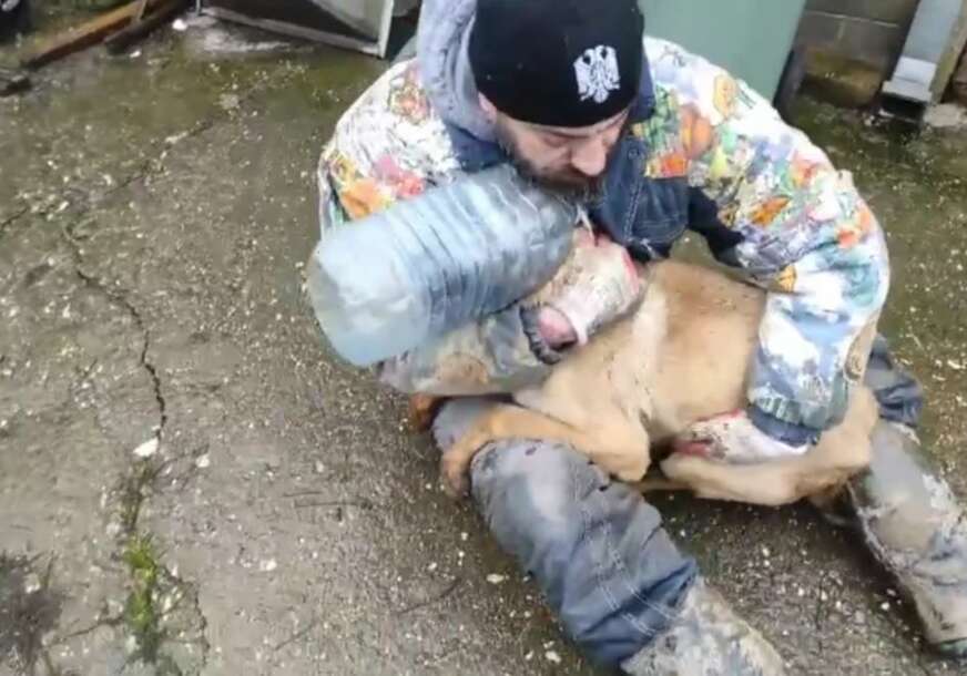 NEVIĐENA OKRUTNOST: Psu stavili balon na glavu, izgladnjivali ga i mučili danima (FOTO)