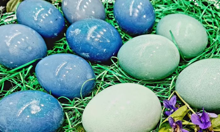 FANTASTIČAN TRIK: Kako da uz pomoć kupusa  i sode dobijete kraljevsku boju jaja